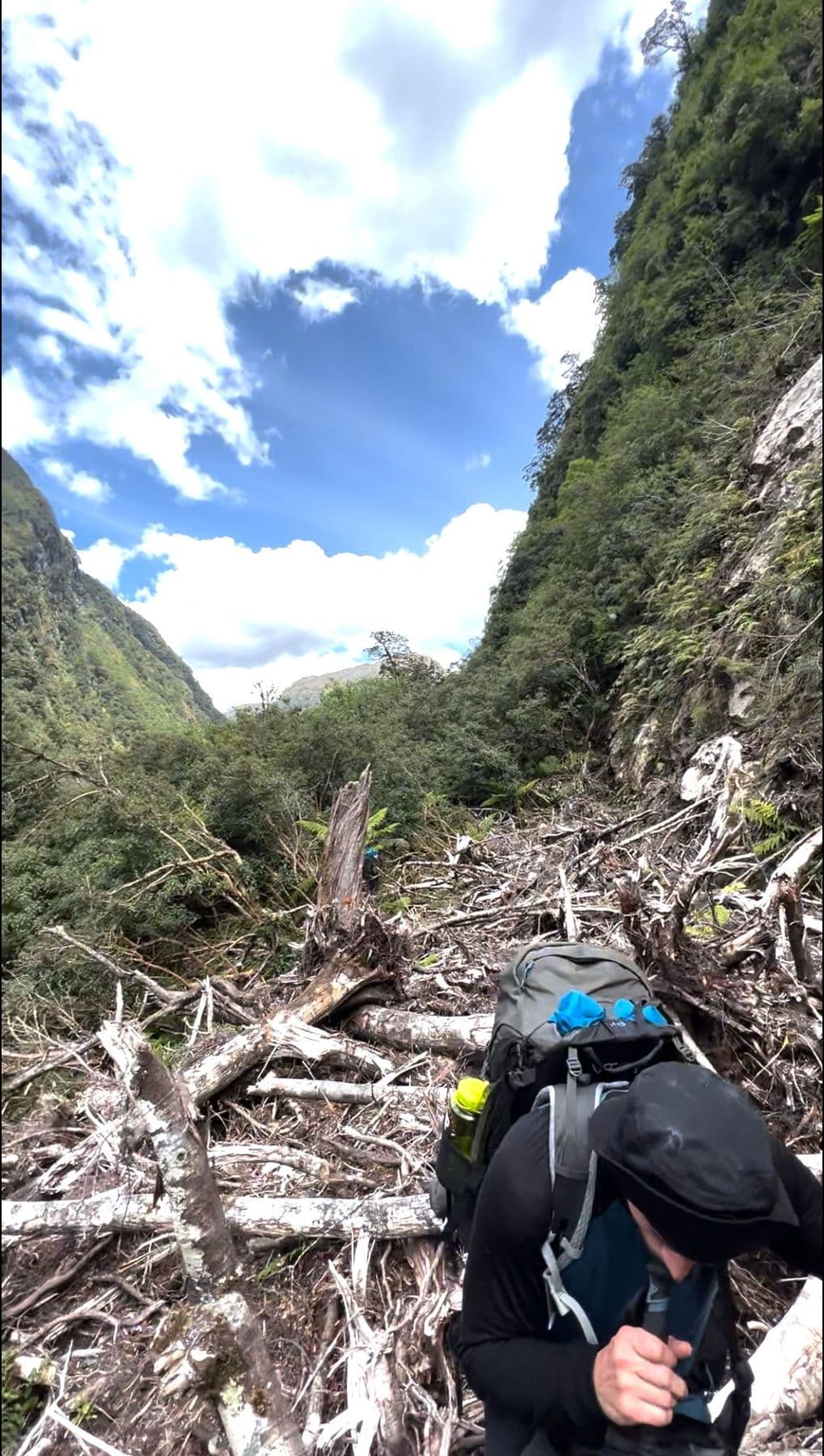 A lot treefall on the way to Kintail Hut