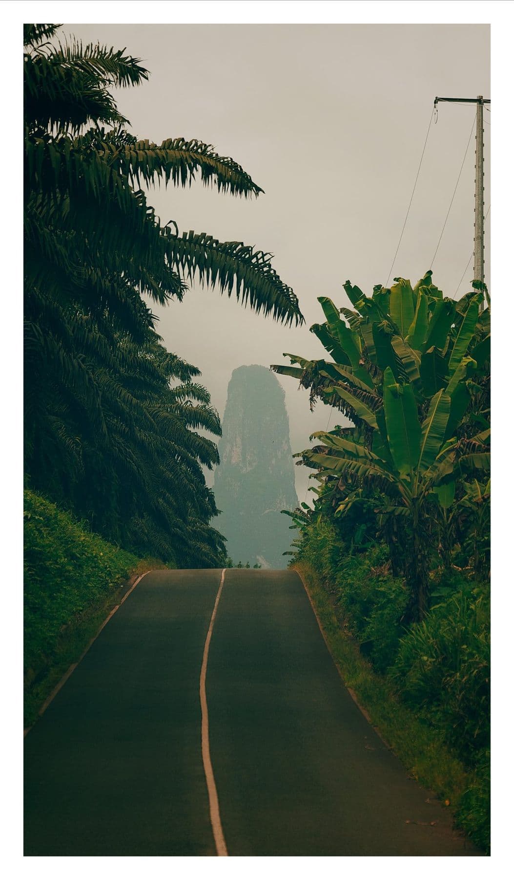 Nature