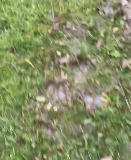 Muddy — the final strech